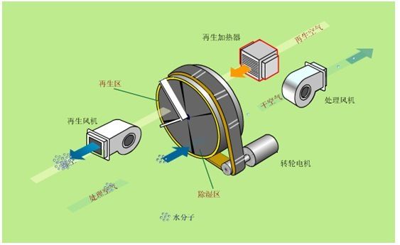 src=http___nimg.ws.126.net__url=http___dingyue.ws.126.net_2021_0418_c01f52d0j00qrr0890011c000fn009lc.jpg&thumbnail=650x2147483647&quality=80&type=jpg&refer=http___nimg.ws.126.jpg