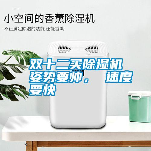 雙十二買除濕機姿勢要帥， 速度要快