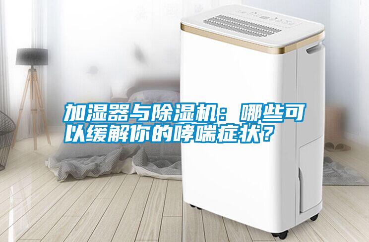 加濕器與除濕機：哪些可以緩解你的哮喘癥狀？