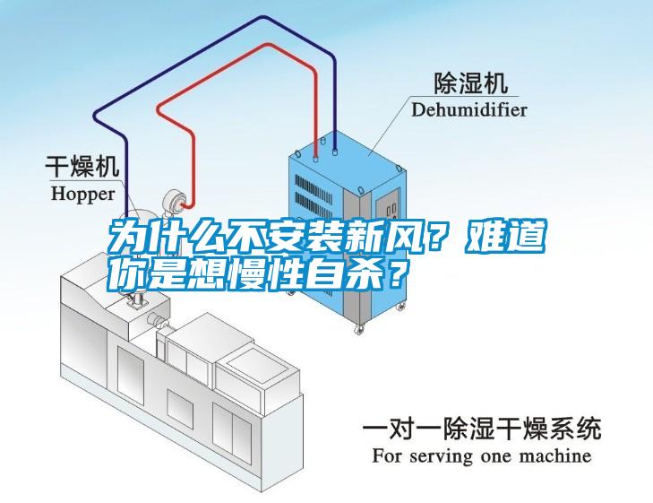 為什么不安裝新風(fēng)？難道你是想慢性自殺？