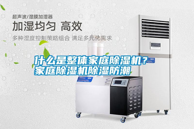 什么是整體家庭除濕機？ 家庭除濕機除濕防潮