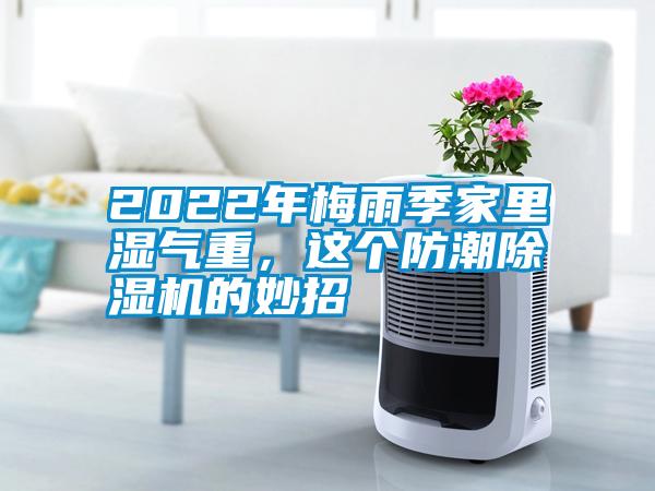 2022年梅雨季家里濕氣重，這個防潮除濕機的妙招