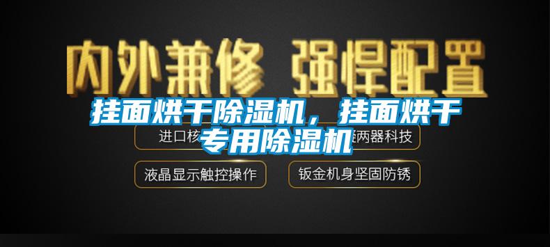 掛面烘干除濕機，掛面烘干專用除濕機