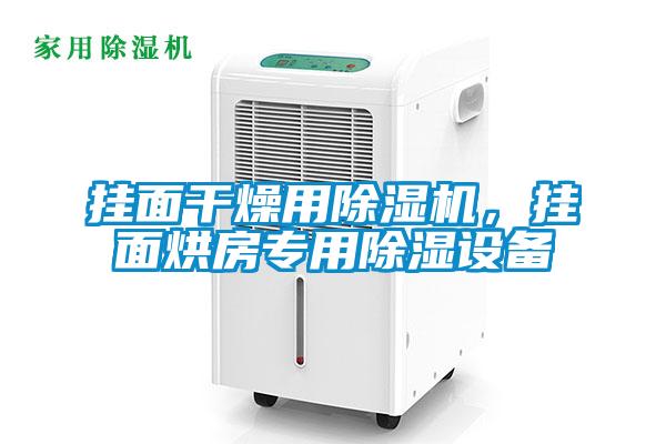 掛面干燥用除濕機，掛面烘房專用除濕設備