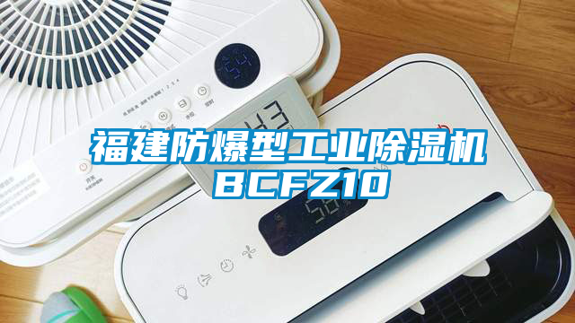 福建防爆型工業除濕機 BCFZ10