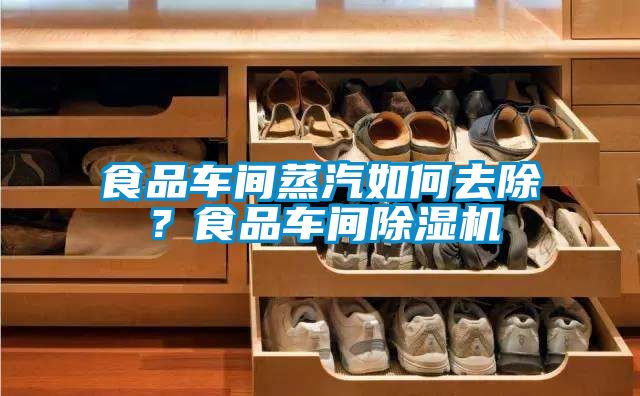 食品車間蒸汽如何去除？食品車間除濕機