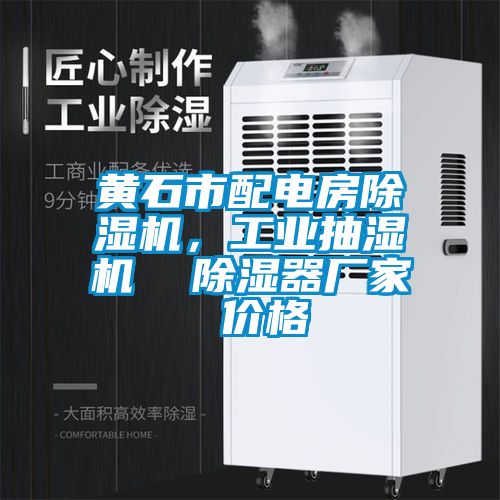 黃石市配電房除濕機，工業抽濕機  除濕器廠家 價格