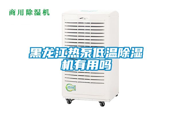 黑龍江熱泵低溫除濕機有用嗎