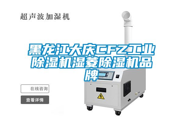 黑龍江大慶CFZ工業除濕機濕菱除濕機品牌